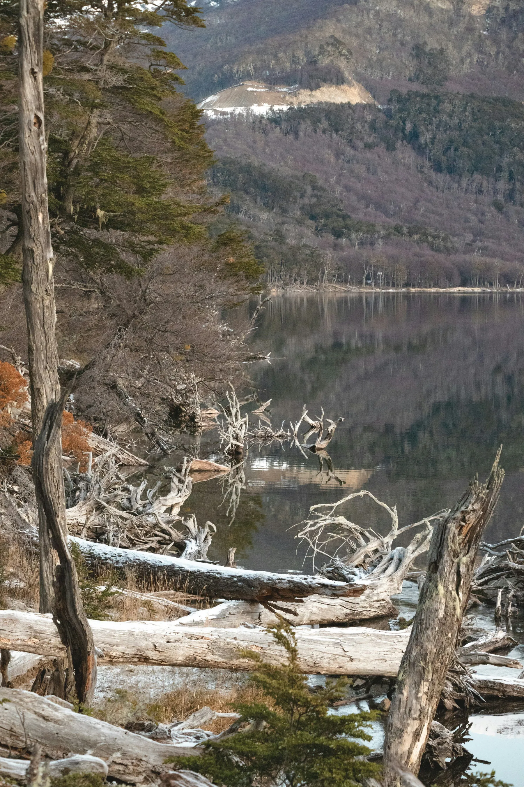 Snow-covered forest and Lago Escondido on the approach from Ushuaia.