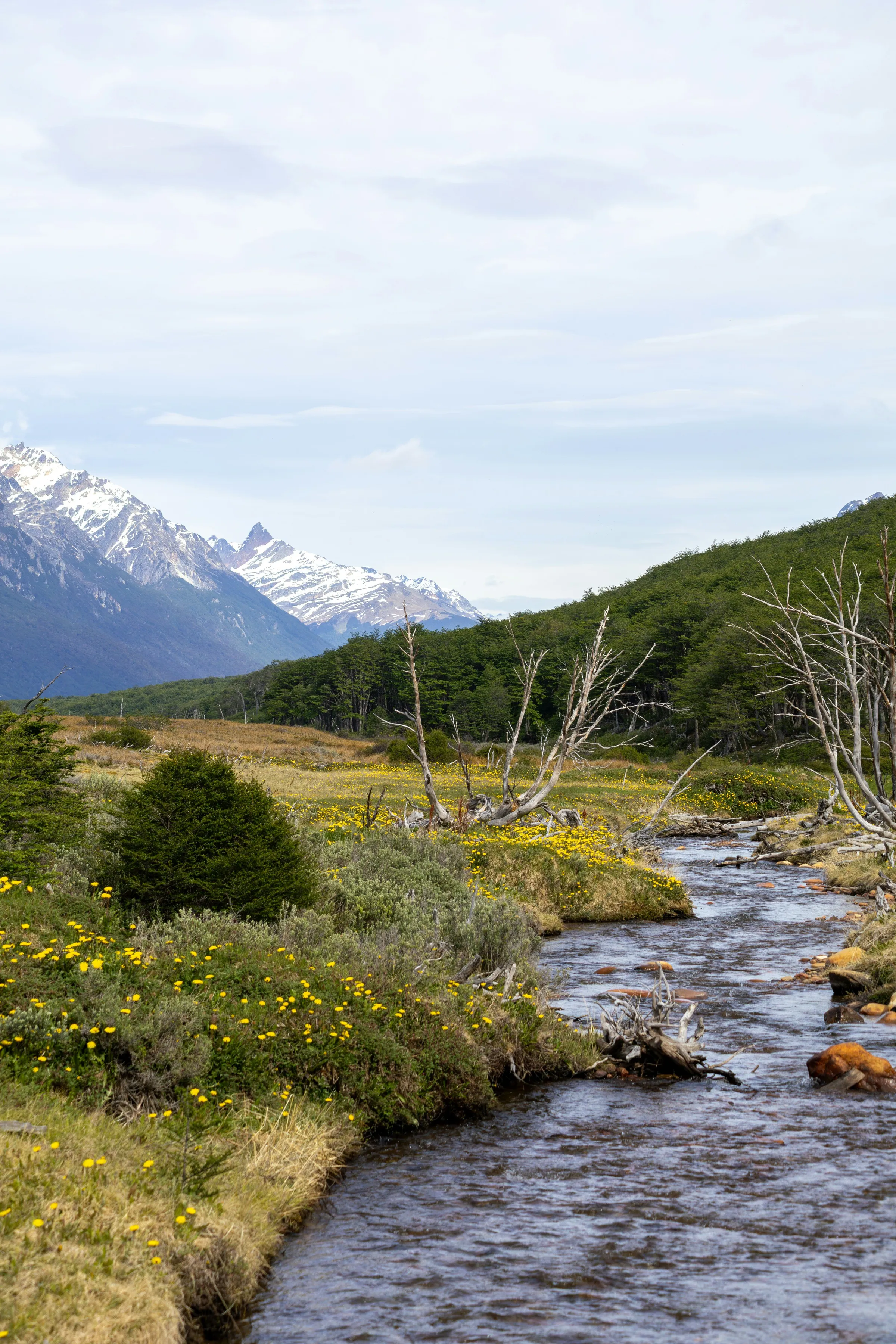 A winding river and mountains in the Laguna Esmeralda area.