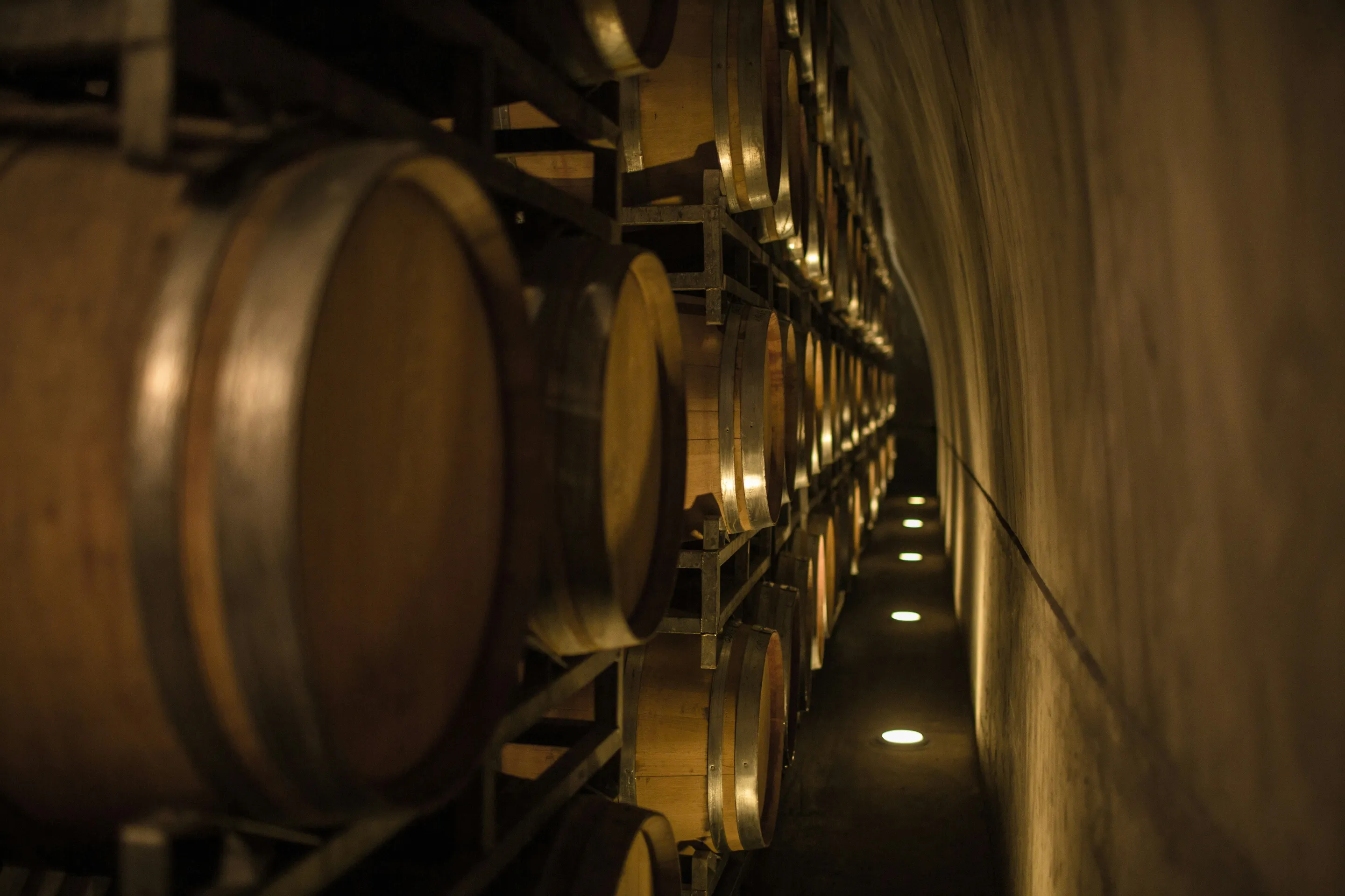 Wine barrels in the Salentein cellar in Mendoza.