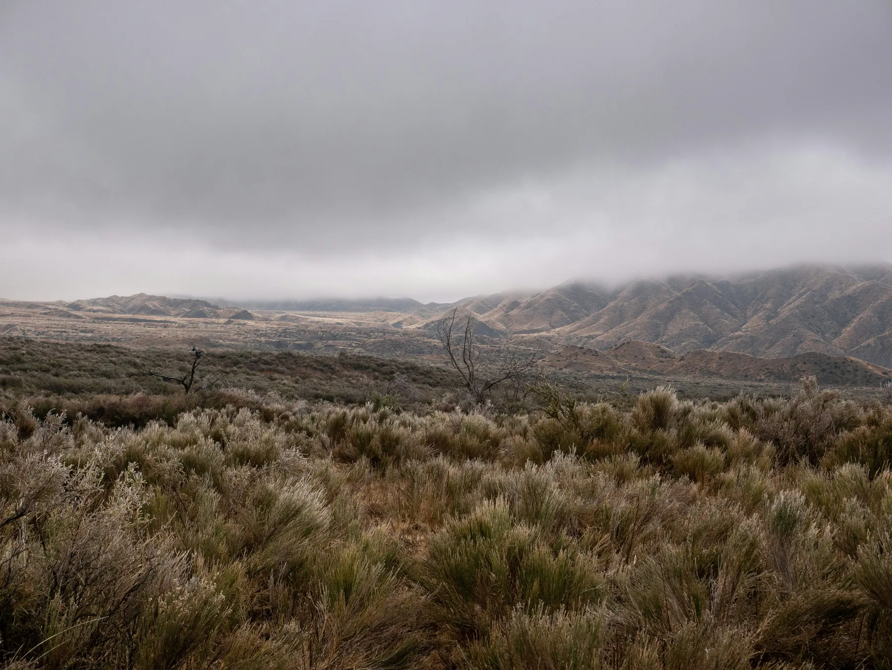 Mountain country and open fields beneath clouds in Zonda