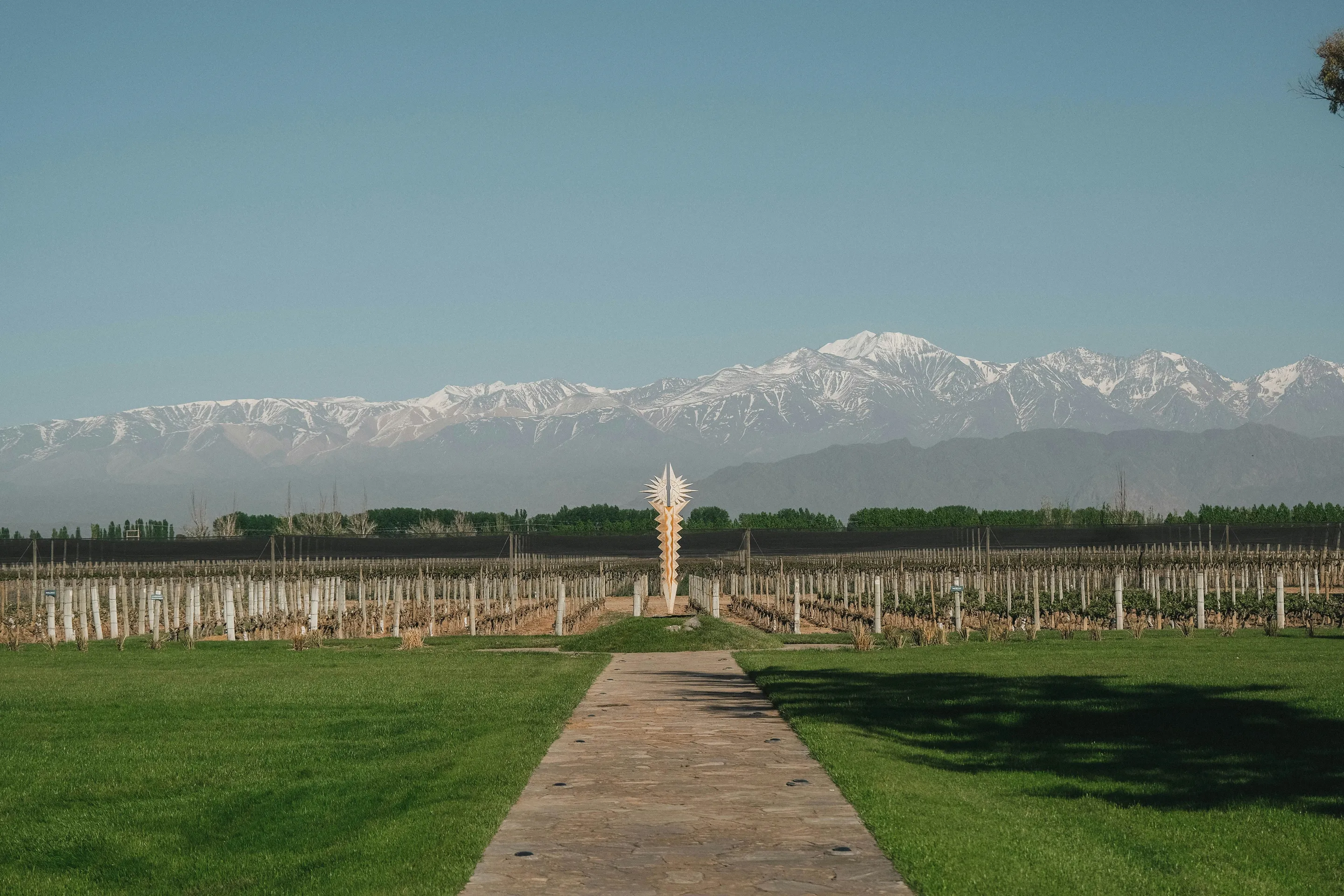 Vineyards beneath snow-capped Andes at Bodega Norton.