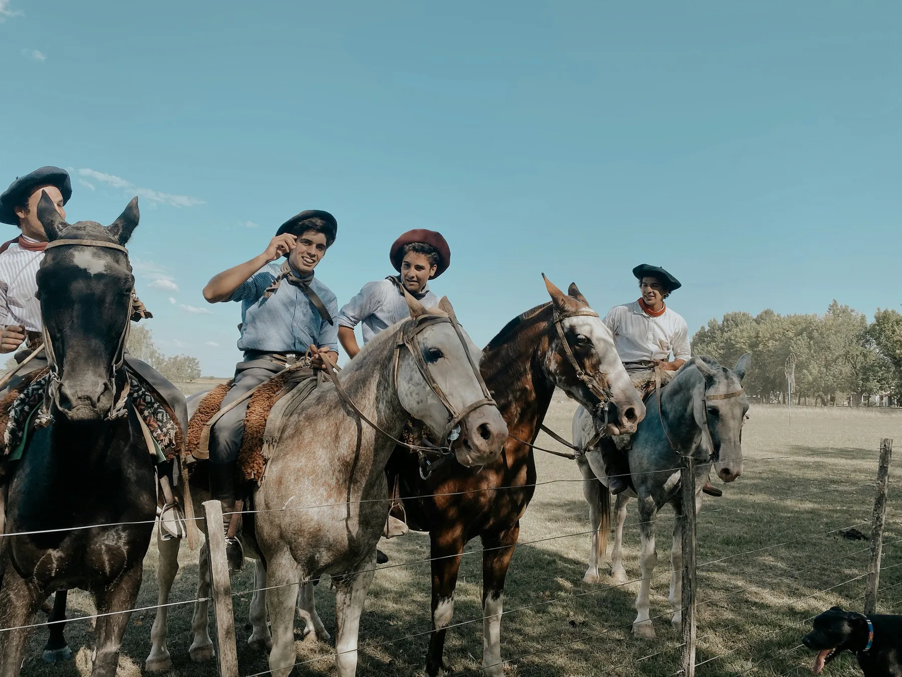 Riders and horses in the countryside at San Antonio de Areco