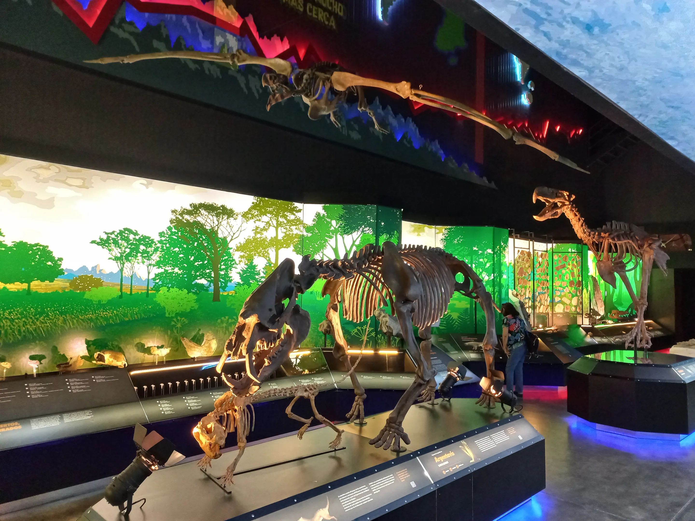 The Cenozoic gallery in Trelew's Museo Paleontológico Egidio Feruglio.